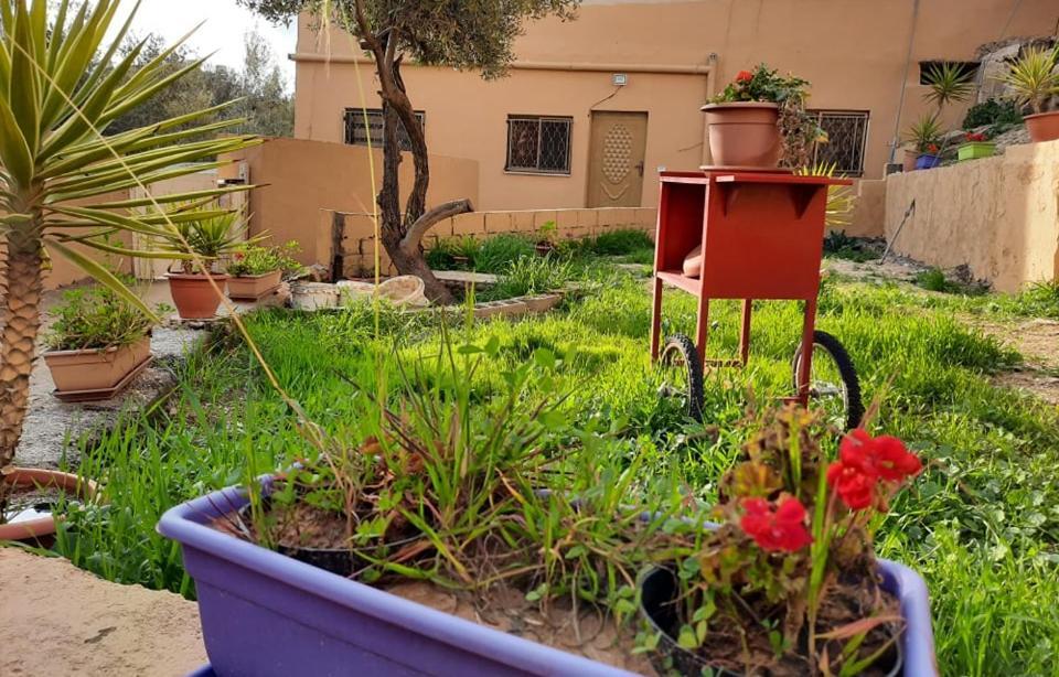 Apartmán Emile Altwal Madaba Exteriér fotografie
